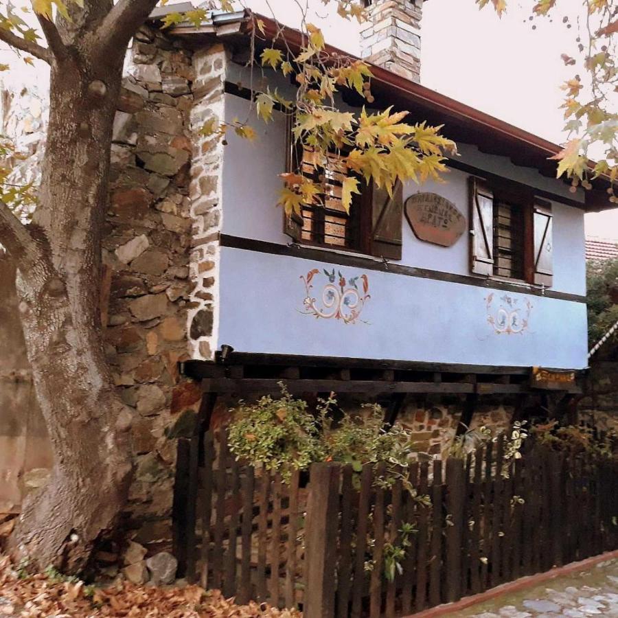Traditional Guesthouse Erato 帕莱斯潘蒂雷蒙 外观 照片